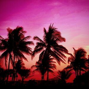 PRIVATE BUNDLE FOR PEGGY